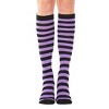 Thin Striped Pattern Knee High Socks from the Sock Panda (Women's Sizes, Adult Medium) - 3 of 3
