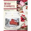 Courtside Market Snow at the Farm Winter Cranberry 12.8oz Soy Wax Candle Glass Jar with Brushed Silver Metal Lid - 3 of 3