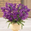 Collections Etc Artificial Tree Orchids - Set of 3 NO SIZE Purple - 2 of 4