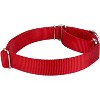 Country Brook Design Martingale Heavyduty Nylon Dog Collar and Double Handle Leash - 3 of 4