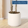 5 ft Artificial Eucalyptus Tree, Olive Tree, Artificial Plants Indoor, Suitable for Home Living Room, Slender Leaves, Fake Artificial Plant with Pot - 4 of 4