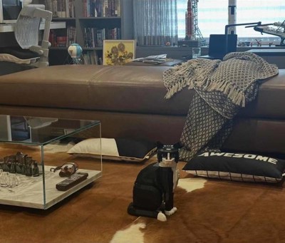 Guest review image 1 of 2, zoom in