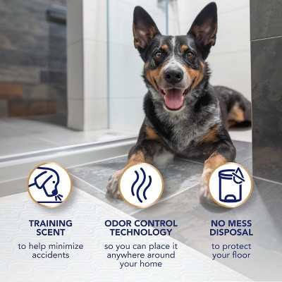 XL Quilted Dog Training Pads with Odor Control, 36" x 30"