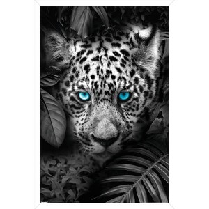 Trends International Reinders: Animals - Blue Eyed Leopard Framed Wall Poster Prints - 1 of 4