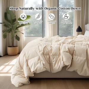 Puredown All Season Organic Cotton Down Comforter - 100% Natural, Chemical-Free, Medium Warmth Duvet Insert - 1 of 4