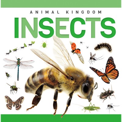 Insects - by  Rebecca Phillips-Bartlett (Paperback)
