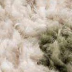 off white, lime green