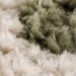 off white, lime green