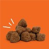 Zesty Paws 8-in-1 Multivitamin Bites for Dog Chicken Flavor - 60ct - 3 of 4