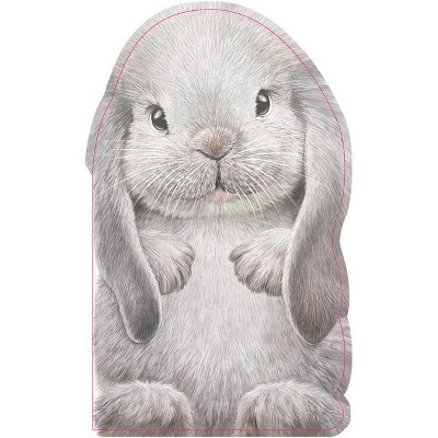 Furry Bunny - by Annie Auerbach (Board Book)