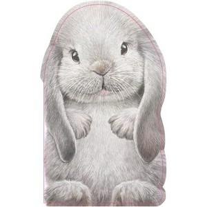 Furry Bunny - by Annie Auerbach (Board Book) - 1 of 1