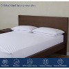 Delara Organic Cotton Pillow Protectors, GOTS Certified, Waterproof, Ultra-Soft, Zipper Closure - 4 of 4