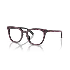 Coach HC6222U 49mm Female Square Sunglasses - prescription-ready - 1 of 4