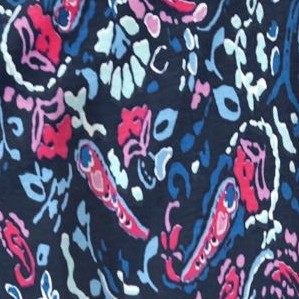 navy multi paisley