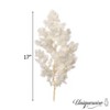 Uniquewise Preserved Real Floral Stems Chic Vase Fillers & Accents for Bouquets Centerpieces - 3 of 4