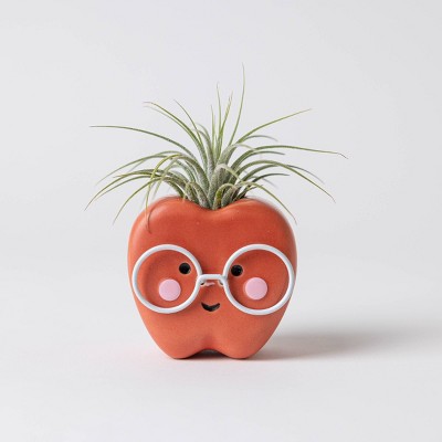Live Apple Bottom Plant Genius Red - Good Little Garden™