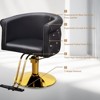 Karl Home Black Gold Modern Heavy Duty Hydraulic Swivel Hair Stylist Salon Chair with Curved Backrest - 4 of 4