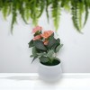 Unique Bargains Artificial Plants 5-Stem Rose Plastic 4.72"x4.72"x7.09" 1 Pcs - 2 of 4