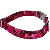 Country Brook Petz Premium Dog Collar - Affection Collection - 3 of 4