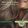 Herbatint Permanent Hair Dye - 7N Blonde - 100% Gray Coverage - Ammonia-Free, Alcohol-Free & Vegan - 5.75 fl oz (4 Pack) - 3 of 4