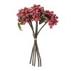 Berry Stem Bundle (Set of 4) - 3 of 3