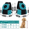 PetAmi Dog Front Carrier Backpack, Ventilated Adjustable Pet Cat Puppy, Hiking Camping Chest Travel Carrying Bag - 3 of 4