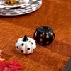 The Lakeside Collection Plaid Pumpkin Dinner Collection - Salt & Pepper Shaker Set - 3 of 3