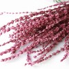 Alilang Dried Greenery Stems for Home Decoration and Floral Arrangements, 17.7 Inches - 3 of 3