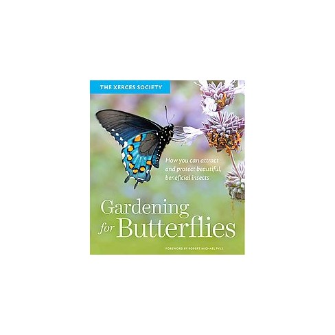 Gardening For Butterflies How You Can Attract And