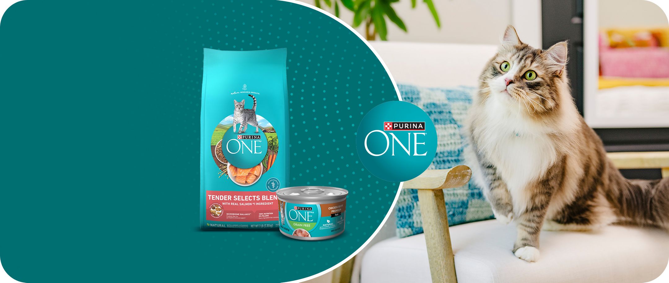 PURINA ONE