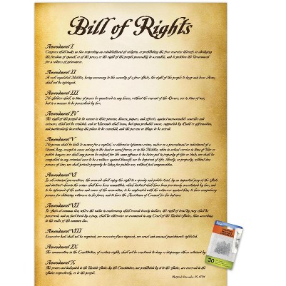 clear push pins bundle