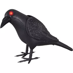 Halloween Express  10 x 7 in Animated Crow Decoration