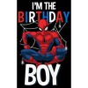 Boy's Marvel I'm Birthday Boy Spidey T-Shirt - image 2 of 4