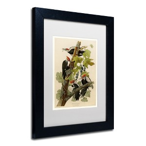 Trademark Fine Art -John James Audubon 'Pileated Woodpeckers' Matted Framed Art - 1 of 4