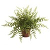 Nearly Natural Fern with Decorative Planter (set of 2) - image 2 of 3