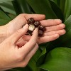 Tru Fru Hyper-Dried Banana Covered in Dark Chocolate Candy - 3.4oz - 4 of 4