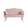 NicBex Luxury Loveseat,Modern Small Velvet Loveseat Sofa with Tufted Back & Metal Legs,2-Seater Couch for Living Room - 4 of 4