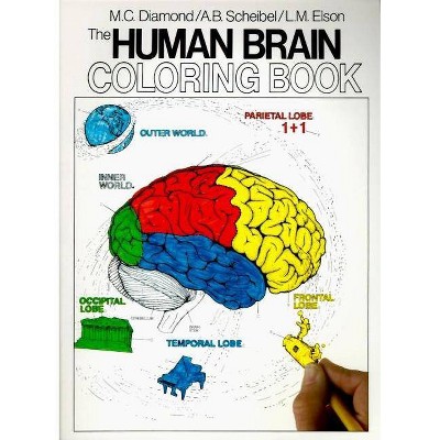 The Human Brain Coloring Book - (Coloring Concepts) by  Marian C Diamond & Arnold B Scheibel (Paperback)