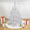Northlight Pre-Lit White Alaskan Pine Artificial Christmas Tree - 3' - Warm White LED Lights - 2 of 4