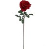 Floral Home 30" Red Queen Anne Rose - 12-Piece - 2 of 4