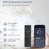 Arceso 20" Modern Ceiling Fan with Light and Remote, App Control  for Indoor - 3 of 4