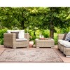 Liora Manne Malibu  Indoor/Outdoor Rug  Neutral.. - 4 of 4