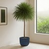 Wooakway 14" Dia Outdoor Indoor Ceramic Planter Pot Decorative Planter with Drainage Hole Patio Flower Pot - 3 of 4