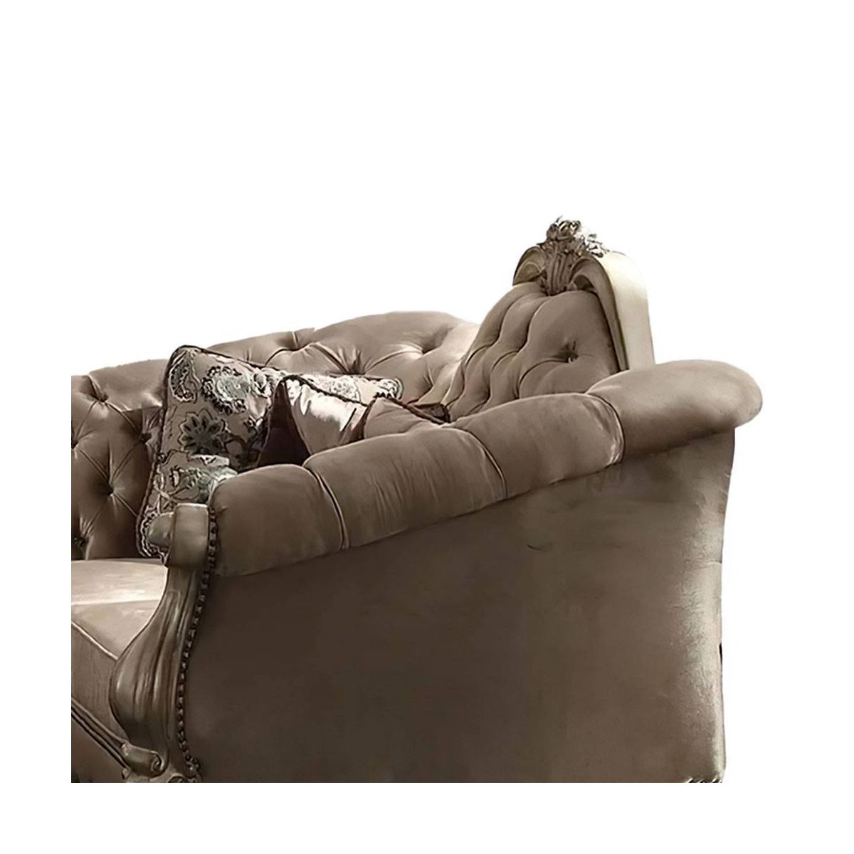 Acme Furniture Dresden Sofa Bone Velvet/Gold Patina Finish - thumbnail 4