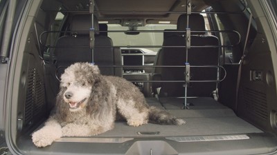 Adjustable Black Metal Dog Car Barrier