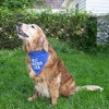 Pavilion Gift Company - Best Golden Retriever - 12" x 8" Canvas Slip on Pet Bandana - Pet Apparel Accessories - 4 of 4