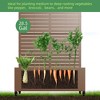White Wrought Iron Arched Outdoor Planting Box with Climbing Frame, Garden Decoration - 3 of 4