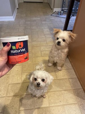 Guest review image 2 of 2, zoom in