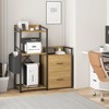 2 Drawer File Cabinet, Filing Cabinet Fits,Large Printer Stand with Storage, Printer Cabinet for Home Office with Power Strip, Open Shelf, LED Lights - 4 of 4