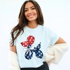 Simply Sage Market 4th Of July Balloon Dog Garment Dyed Tee - 3 of 4